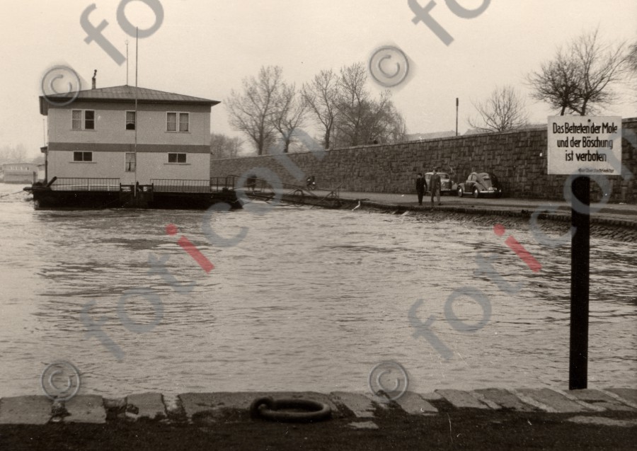 Frühjahrs-Hochwasser am Rhein II - Foto foticon-duesseldorf-0032.jpg | foticon.de - Bilddatenbank für Motive aus Geschichte und Kultur